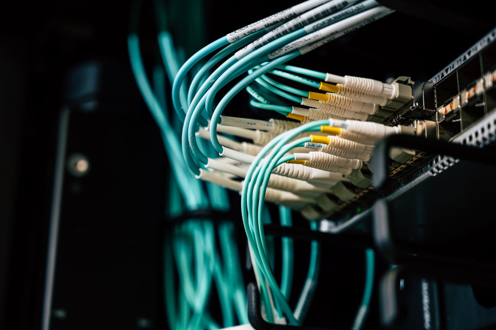 Symbolbild: Netzwerkkabel an einem Serverschrank.